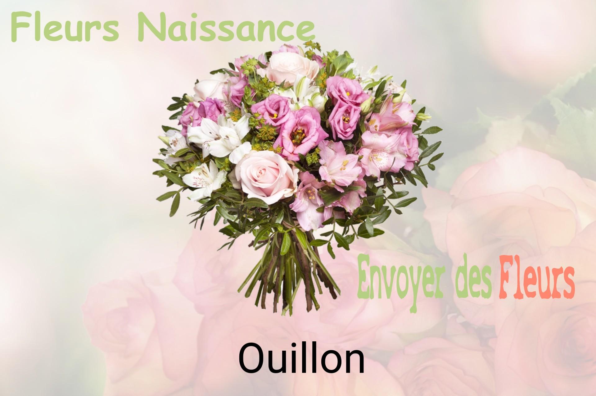 Bouquet de fleurs de naissance livré à Ouillon